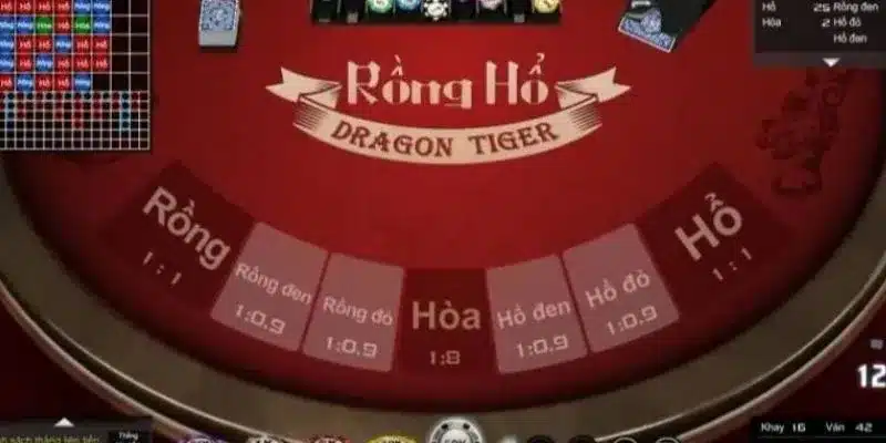 Tổng hợp các loại cầu trong rồng hổ