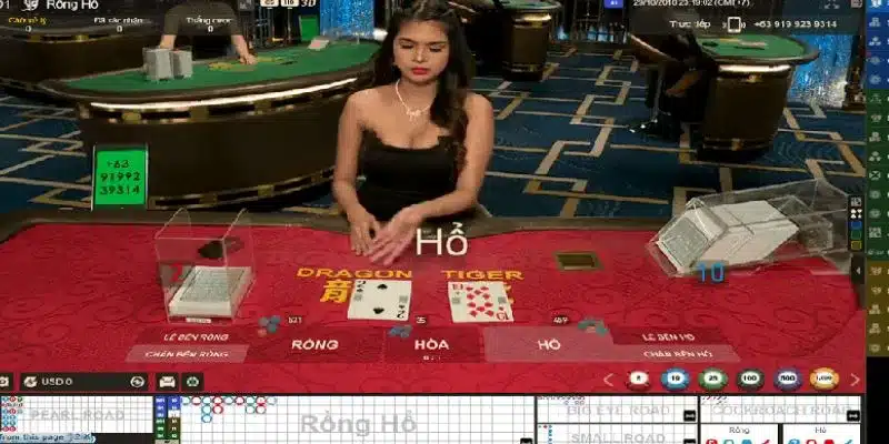 Tìm hiểu cách soi cầu rồng hổ thịnh hành